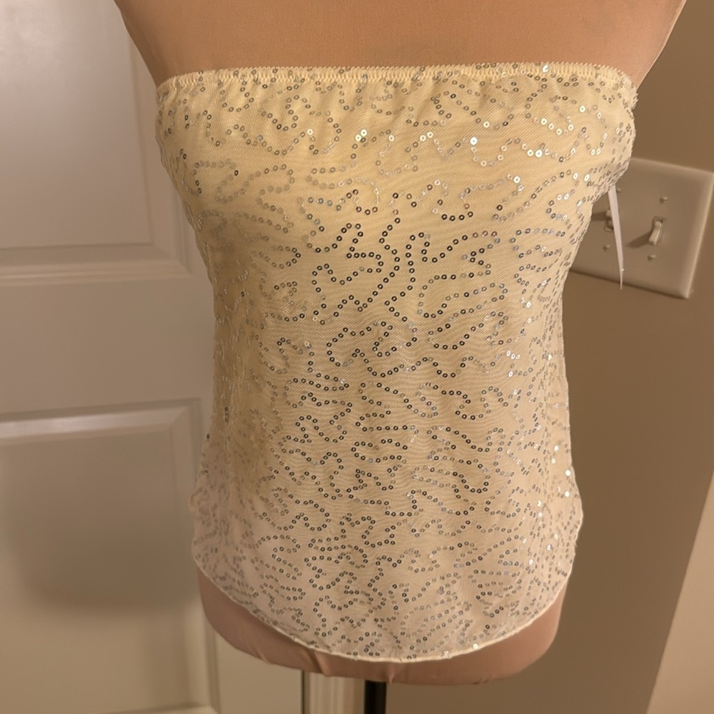 Elegant Silver Sequin Bandeau
